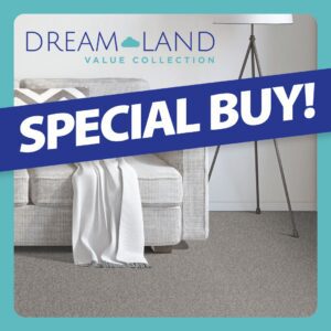 Dreamland Value Collection Special Buy - Carpetland USA