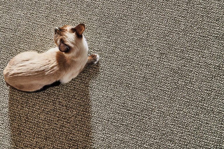 Our Carpet Remnant Buying Guide Carpetland USA