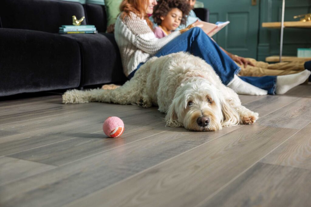 Dog lays on floor after playing on durable, scratch proof luxury vinyl tile from Shaw's Pet Perfect Line; available at Carpetland USA.