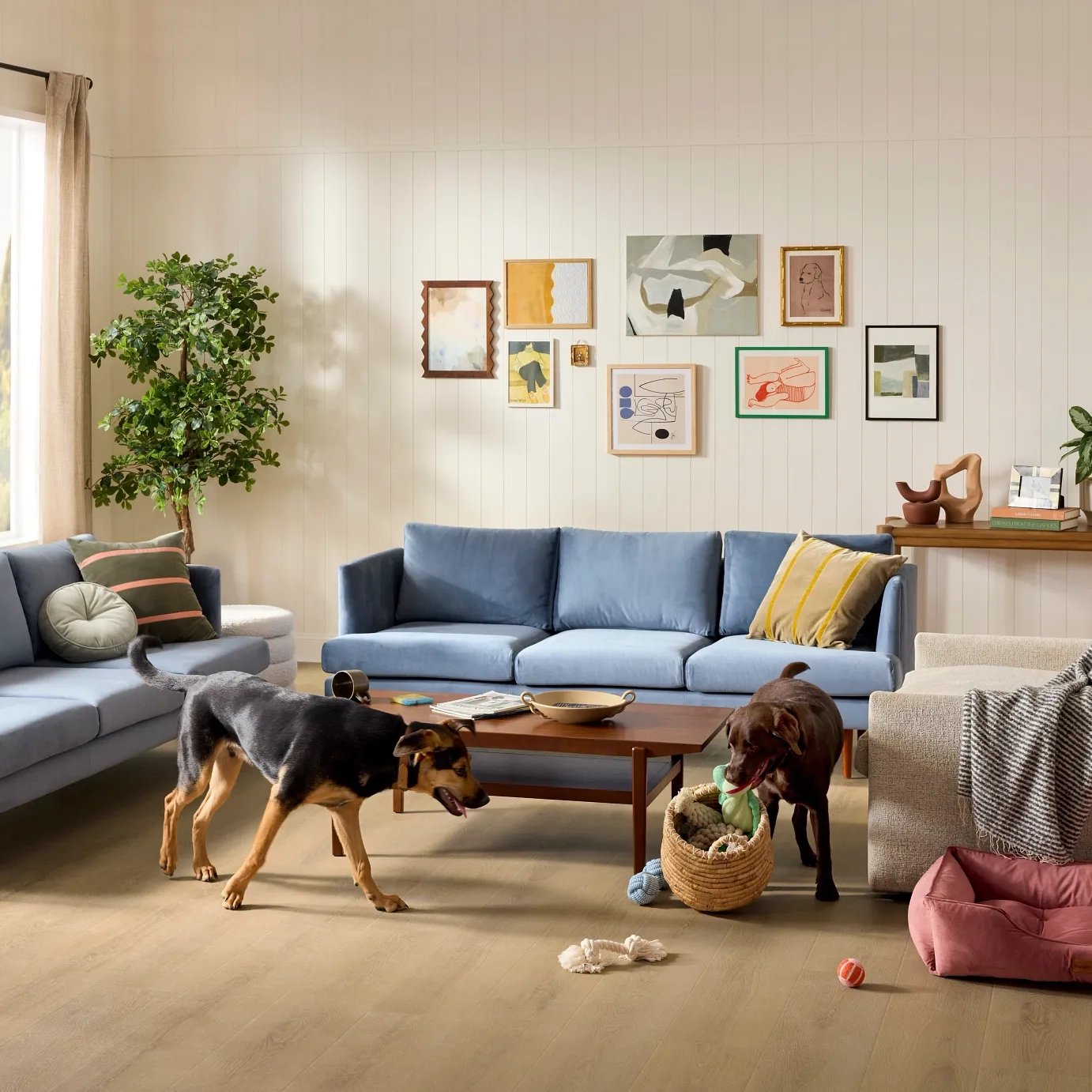 Dogs rough housing with toys on haw Pet Perfect Laminate Flooring, Available at Carpetland USA.
