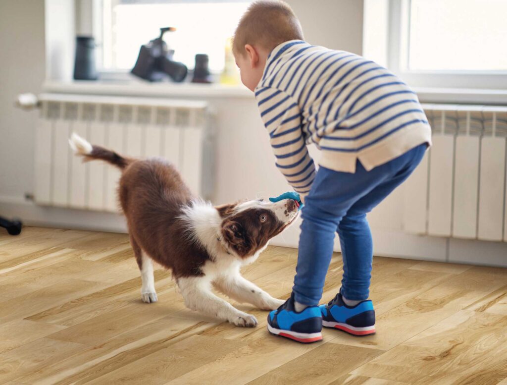 Kid and dog playing on modern waterproof high traffic LVT flooring.