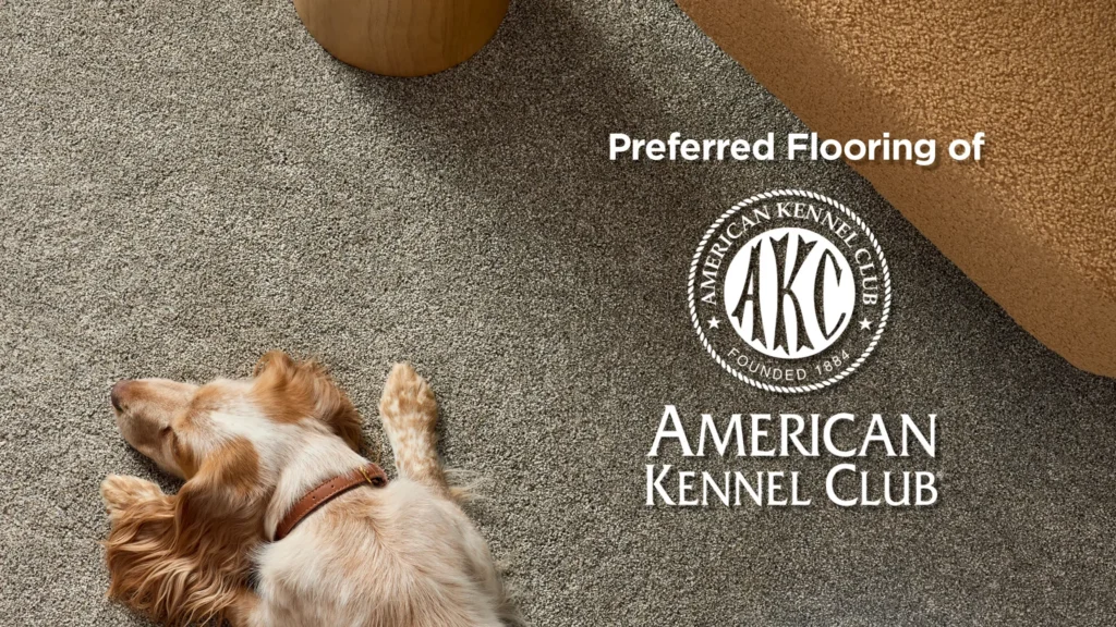 Dog laying on pet-friendly carpet with the American Kennel Association logo on top.